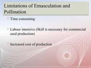 Limitations of Emasculation and
Pollination
Limitations of Emasculation and
Pollination
 Time consuming
 Labour intensive (Skill is necessary for commercial
seed production)
 Increased cost of production
 