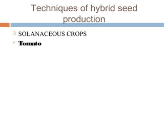 Techniques of hybrid seed
production
 SOLANACEOUS CROPS
 Tomato
 