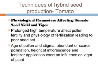Techniques of hybrid seed
production- Tomato
 Physiological Parameters Affecting Tomato
Seed Yield and Vigor
 Prolonged high temperature affect pollen
fertility and physiology of fertilization leading to
poor seed set
 Age of pollen and stigma, abundant or scarce
pollination, height of inflorescence and
fertilizer application exert an influence on vigor
of plant
 