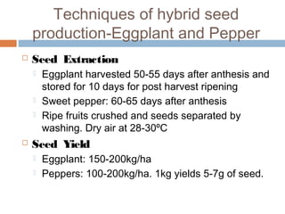Techniques of hybrid seed
production-Eggplant and Pepper
 Seed Extraction
 Eggplant harvested 50-55 days after anthesis and
stored for 10 days for post harvest ripening
 Sweet pepper: 60-65 days after anthesis
 Ripe fruits crushed and seeds separated by
washing. Dry air at 28-30ºC
 Seed Yield
 Eggplant: 150-200kg/ha
 Peppers: 100-200kg/ha. 1kg yields 5-7g of seed.
 