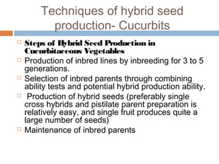 Techniques of hybrid seed
production- Cucurbits
 Steps of Hybrid Seed Production in
Cucurbitaceous Vegetables
 Production of inbred lines by inbreeding for 3 to 5
generations.
 Selection of inbred parents through combining
ability tests and potential hybrid production ability.
  Production of hybrid seeds (preferably single
cross hybrids and pistilate parent preparation is
relatively easy, and single fruit produces quite a
large number of seeds) 
 Maintenance of inbred parents
 