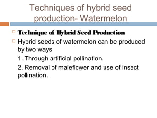 Techniques of hybrid seed
production- Watermelon
 Technique of Hybrid Seed Production
 Hybrid seeds of watermelon can be produced
by two ways
1. Through artificial pollination.
2. Removal of maleflower and use of insect
pollination.
 