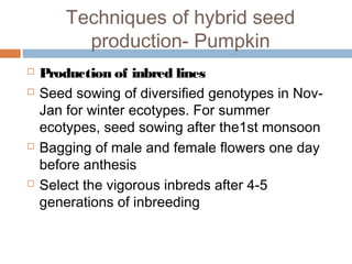 Techniques of hybrid seed
production- Pumpkin
 Production of inbred lines
 Seed sowing of diversified genotypes in Nov-
Jan for winter ecotypes. For summer
ecotypes, seed sowing after the1st monsoon
 Bagging of male and female flowers one day
before anthesis
 Select the vigorous inbreds after 4-5
generations of inbreeding
 