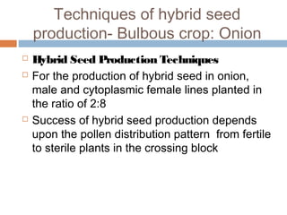 Techniques of hybrid seed
production- Bulbous crop: Onion
 Hybrid Seed Production Techniques
 For the production of hybrid seed in onion,
male and cytoplasmic female lines planted in
the ratio of 2:8
 Success of hybrid seed production depends
upon the pollen distribution pattern from fertile
to sterile plants in the crossing block
 