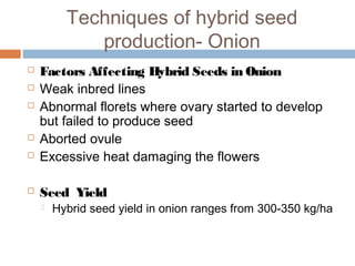 Techniques of hybrid seed
production- Onion
 Factors Affecting Hybrid Seeds in Onion
 Weak inbred lines
 Abnormal florets where ovary started to develop
but failed to produce seed
 Aborted ovule
 Excessive heat damaging the flowers
 Seed Yield
 Hybrid seed yield in onion ranges from 300-350 kg/ha
 