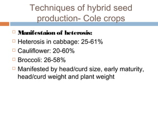 Techniques of hybrid seed
production- Cole crops
 Manifestaion of heterosis:
 Heterosis in cabbage: 25-61%
 Cauliflower: 20-60%
 Broccoli: 26-58%
 Manifested by head/curd size, early maturity,
head/curd weight and plant weight
 