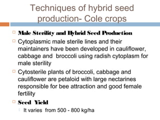 Techniques of hybrid seed
production- Cole crops
 Male Sterility and Hybrid Seed Production
 Cytoplasmic male sterile lines and their
maintainers have been developed in cauliflower,
cabbage and broccoli using radish cytoplasm for
male sterility
 Cytosterile plants of broccoli, cabbage and
cauliflower are petaloid with large nectarines
responsible for bee attraction and good female
fertility 
 Seed Yield
 It varies from 500 - 800 kg/ha
 