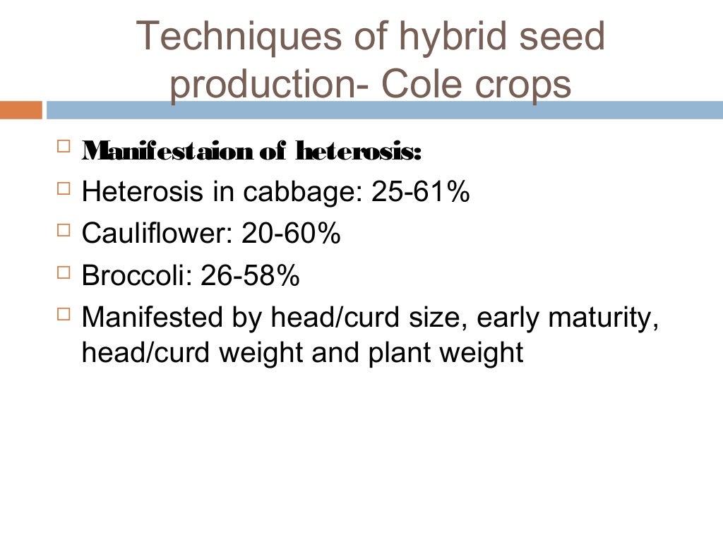 Hybrid seedproductioninvegetables