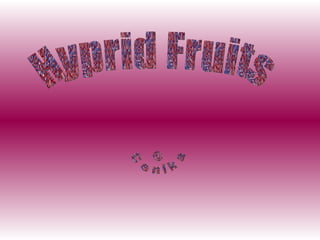 Hyprid Fruits © Cenika 