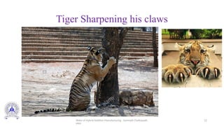 Slides of Hybrid Additive Manufacturing - Somnath Chattopadh
yaya
12
Tiger Sharpening his claws
 