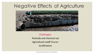 Negative Effects of Agriculture
Challenges:
Pesticide and chemical use
Agricultural runoff Ocean
Acidification
12
© 2017 HAMED FAGHIRI (CHARLEY) ALL RIGHTS RESERVED.
 