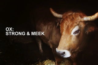 OX:
STRONG & MEEK

 