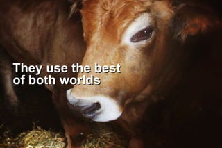 They use the best
of both worlds

 