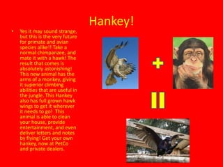 Hankey!Yes it may sound strange, but this is the very future for primate and avian species alike!! Take a normal chimpanzee, and mate it with a hawk! The result that comes is absolutely astonishing! This new animal has the arms of a monkey, giving it superior climbing abilities that are useful in the jungle. This Hankey also has full grown hawk wings to get it wherever it needs to go!  This animal is able to clean your house, provide entertainment, and even deliver letters and notes by flying! Get your own hankey, now at PetCo and private dealers. 