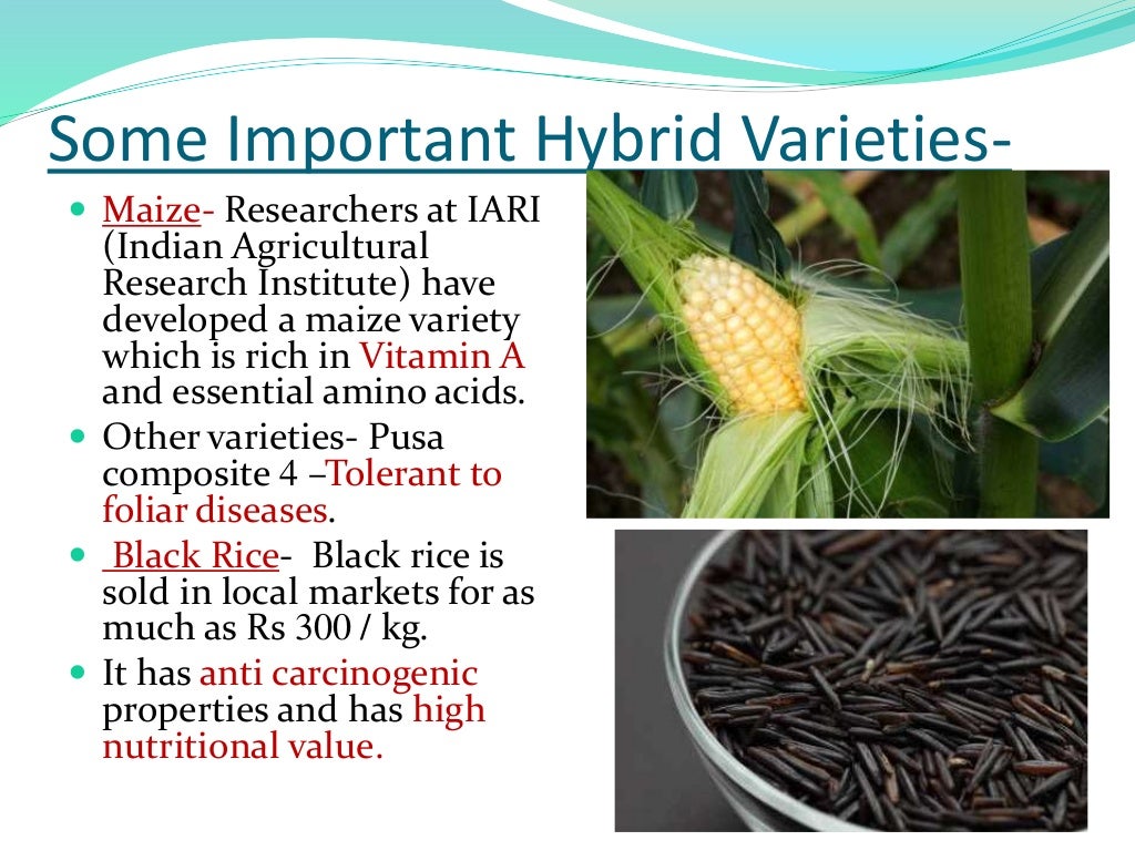 Hybrid breeding in plants