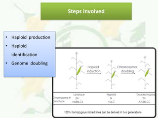 Hybrid breeding | PPTX