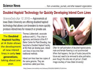 The Doubled Haploid Facility at IA State allows the development of new inbred lines in only two generations, taking about one year. 
http://www.sciencedaily.com/releases/2010/04/100405175134.htm  
