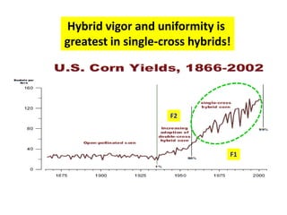 Hybrid vigor and uniformity is 
greatest in single-cross hybrids! 
F2 
F1  