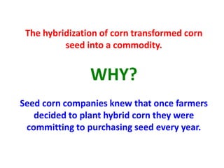 The hybridization of corn transformed corn seed into a commodity. 
WHY? 
Seed corn companies knew that once farmers decided to plant hybrid corn they were committing to purchasing seed every year. 
 