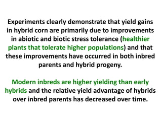 Experiments clearly demonstrate that yield gains in hybrid corn are primarily due to improvements in abiotic and biotic stress tolerance (healthier plants that tolerate higher populations) and that these improvements have occurred in both inbred parents and hybrid progeny. 
Modern inbreds are higher yielding than early hybrids and the relative yield advantage of hybrids over inbred parents has decreased over time. 
 