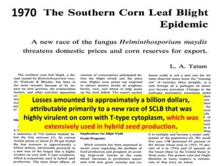 Losses amounted to approximately a billion dollars, attributable primarily to a new race of SCLB that was highly virulent on corn with T-type cytoplasm, which was extensively used in hybrid seed production. 
1970  