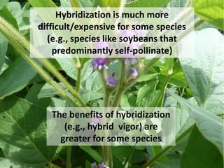 Hybridization is much more difficult/expensive for some species 
(e.g., species like soybeans that predominantly self-pollinate) 
The benefits of hybridization (e.g., hybrid vigor) are greater for some species  