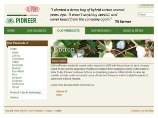 “I planted a demo bag of hybrid cotton several years ago. It wasn't anything special, and never heard from the company again.” 
TX farmer  