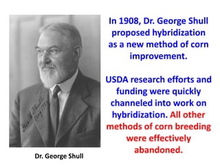 In 1908, Dr. George Shull proposed hybridization as a new method of corn improvement. 
USDA research efforts and funding were quickly channeled into work on hybridization. All other methods of corn breeding were effectively abandoned. 
Dr. George Shull  
