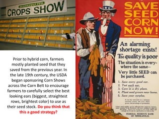 Prior to hybrid corn, farmers mostly planted seed that they saved from the previous year. In the late 19th century, the USDA began sponsoring Corn Shows across the Corn Belt to encourage farmers to carefully select the best looking ears (biggest, straightest rows, brightest color) to use as their seed stock. Do you think that this a good strategy?  