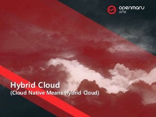 Hybrid Cloud
(Cloud Native Means Hybrid Cloud)
 