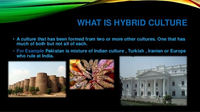 Definition Of Cultural Hybridity