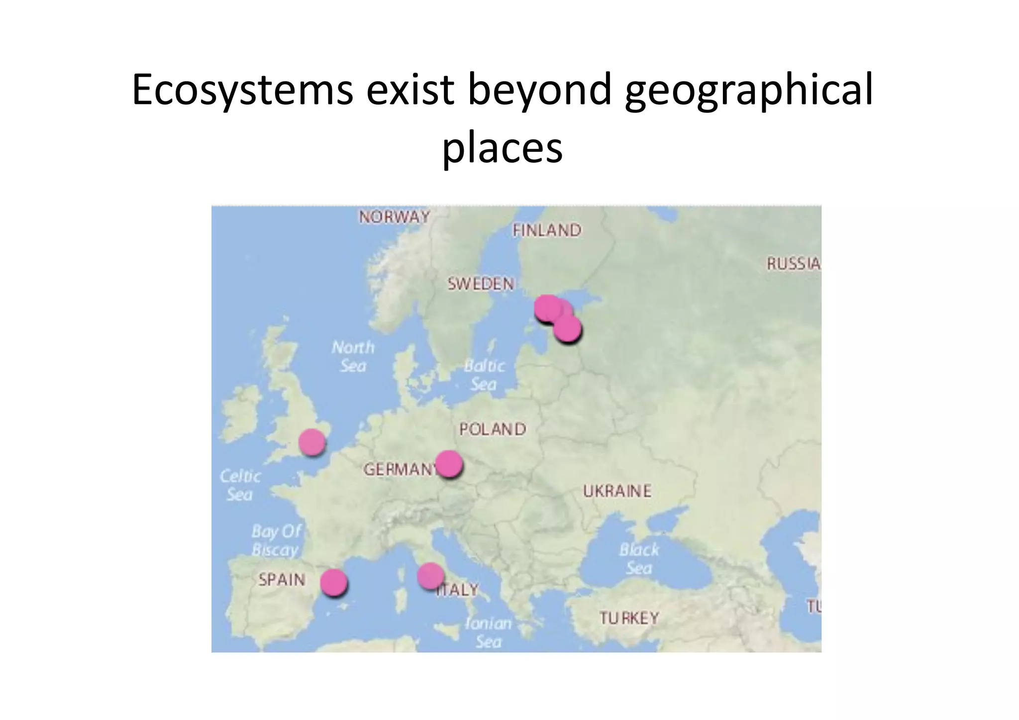 Hybrid Ecosystem Of Narratives