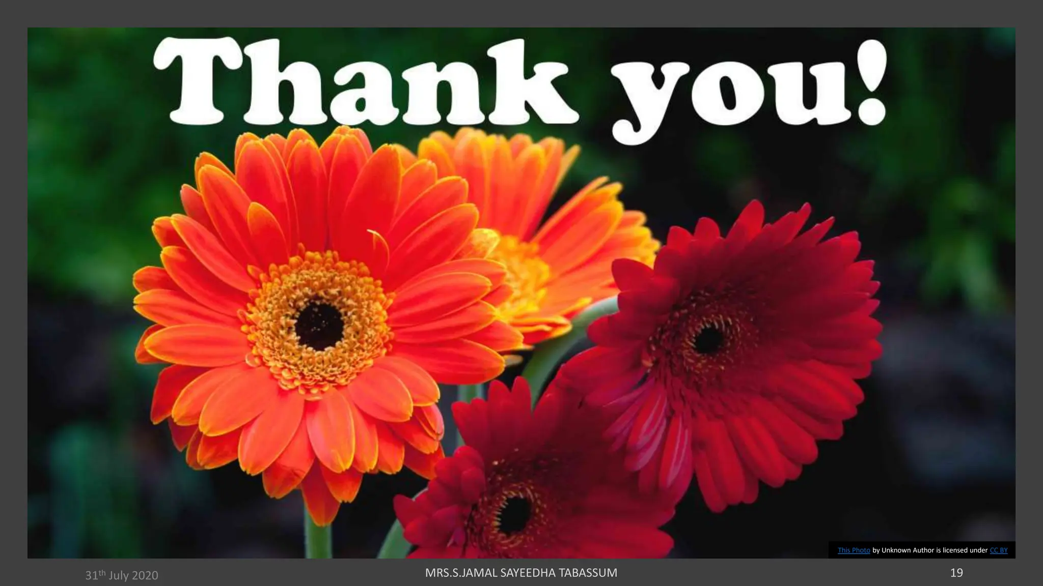 31th July 2020
This Photo by Unknown Author is licensed under CC BY
 