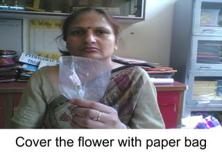 Cover the flower with paper bag 