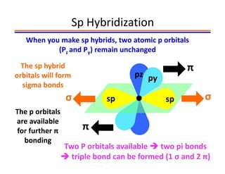 Hybridization | PDF