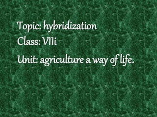 Topic: hybridization 
Class: VIIi 
Unit: agriculture a way of life. 
 