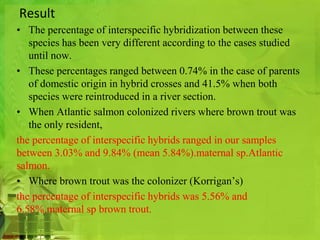 Result 
• The percentage of interspecific hybridization between these 
species has been very different according to the cases studied 
until now. 
• These percentages ranged between 0.74% in the case of parents 
of domestic origin in hybrid crosses and 41.5% when both 
species were reintroduced in a river section. 
• When Atlantic salmon colonized rivers where brown trout was 
the only resident, 
the percentage of interspecific hybrids ranged in our samples 
between 3.03% and 9.84% (mean 5.84%).maternal sp.Atlantic 
salmon. 
• Where brown trout was the colonizer (Korrigan’s) 
the percentage of interspecific hybrids was 5.56% and 
6.58%.maternal sp brown trout. 
 