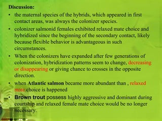 Discussion: 
• the maternal species of the hybrids, which appeared in first 
contact areas, was always the colonizer species. 
• colonizer salmonid females exhibited relaxed mate choice and 
hybridized since the beginning of the secondary contact, likely 
because flexible behavior is advantageous in such 
circumstances. 
• When the colonizers have expanded after few generations of 
colonization, hybridization patterns seem to change, decreasing 
or disappearing or giving chance to crosses in the opposite 
direction. 
• when Atlantic salmon became more abundant than , relaxed 
mate choice is happened 
• Brown trout possess highly aggressive and dominant during 
courtship and relaxed female mate choice would be no longer 
necessary. 
 