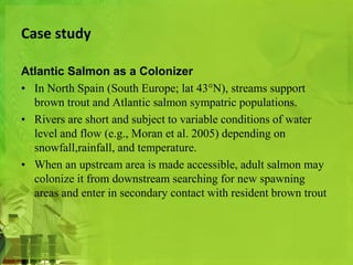 Case study 
Atlantic Salmon as a Colonizer 
• In North Spain (South Europe; lat 43°N), streams support 
brown trout and Atlantic salmon sympatric populations. 
• Rivers are short and subject to variable conditions of water 
level and flow (e.g., Moran et al. 2005) depending on 
snowfall,rainfall, and temperature. 
• When an upstream area is made accessible, adult salmon may 
colonize it from downstream searching for new spawning 
areas and enter in secondary contact with resident brown trout 
 
