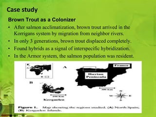Case study 
Brown Trout as a Colonizer 
• After salmon acclimatization, brown trout arrived in the 
Korrigans system by migration from neighbor rivers. 
• In only 3 generations, brown trout displaced completely. 
• Found hybrids as a signal of interspecific hybridization. 
• In the Armor system, the salmon population was resident. 
 