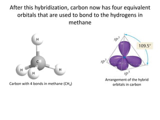 After this hybridization, carbon now has four equivalent
orbitals that are used to bond to the hydrogens in
methane
Carbon with 4 bonds in methane (CH4)
C
H
H
H
H
Arrangement of the hybrid
orbitals in carbon
 