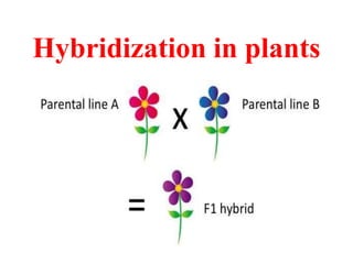 Hybridization in plants
 