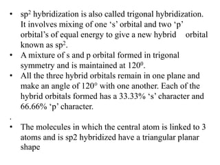 Hybridization | PPTX
