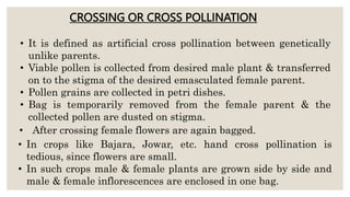 CROSSING OR CROSS POLLINATION
• It is defined as artificial cross pollination between genetically
unlike parents.
• Viable pollen is collected from desired male plant & transferred
on to the stigma of the desired emasculated female parent.
• Pollen grains are collected in petri dishes.
• Bag is temporarily removed from the female parent & the
collected pollen are dusted on stigma.
• In crops like Bajara, Jowar, etc. hand cross pollination is
tedious, since flowers are small.
• In such crops male & female plants are grown side by side and
male & female inflorescences are enclosed in one bag.
• After crossing female flowers are again bagged.
 