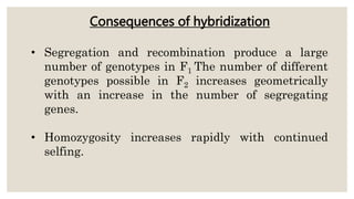 • Segregation and recombination produce a large
number of genotypes in F1 The number of different
genotypes possible in F2 increases geometrically
with an increase in the number of segregating
genes.
• Homozygosity increases rapidly with continued
selfing.
Consequences of hybridization
 