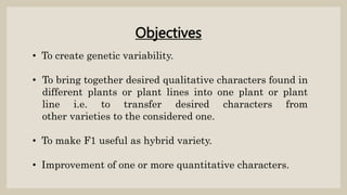 • To create genetic variability.
• To bring together desired qualitative characters found in
different plants or plant lines into one plant or plant
line i.e. to transfer desired characters from
other varieties to the considered one.
• To make F1 useful as hybrid variety.
• Improvement of one or more quantitative characters.
Objectives
 