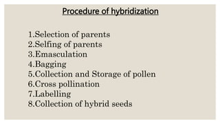 Procedure of hybridization
1.Selection of parents
2.Selfing of parents
3.Emasculation
4.Bagging
5.Collection and Storage of pollen
6.Cross pollination
7.Labelling
8.Collection of hybrid seeds
 