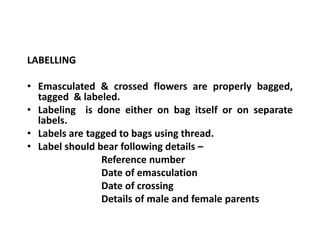 LABELLING
• Emasculated & crossed flowers are properly bagged,
tagged & labeled.
• Labeling is done either on bag itself or on separate
labels.
• Labels are tagged to bags using thread.
• Label should bear following details –
Reference number
Date of emasculation
Date of crossing
Details of male and female parents
LABELLING
• Emasculated & crossed flowers are properly bagged,
tagged & labeled.
• Labeling is done either on bag itself or on separate
labels.
• Labels are tagged to bags using thread.
• Label should bear following details –
Reference number
Date of emasculation
Date of crossing
Details of male and female parents
 
