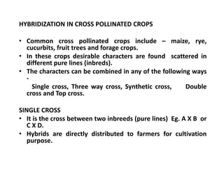 HYBRIDIZATION IN CROSS POLLINATED CROPS
• Common cross pollinated crops include – maize, rye,
cucurbits, fruit trees and forage crops.
• In these crops desirable characters are found scattered in
different pure lines (inbreds).
• The characters can be combined in any of the following ways
-
Single cross, Three way cross, Synthetic cross, Double
cross and Top cross.
SINGLE CROSS
• It is the cross between two inbreeds (pure lines) Eg. A X B or
C X D.
• Hybrids are directly distributed to farmers for cultivation
purpose.
HYBRIDIZATION IN CROSS POLLINATED CROPS
• Common cross pollinated crops include – maize, rye,
cucurbits, fruit trees and forage crops.
• In these crops desirable characters are found scattered in
different pure lines (inbreds).
• The characters can be combined in any of the following ways
-
Single cross, Three way cross, Synthetic cross, Double
cross and Top cross.
SINGLE CROSS
• It is the cross between two inbreeds (pure lines) Eg. A X B or
C X D.
• Hybrids are directly distributed to farmers for cultivation
purpose.
 