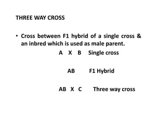 THREE WAY CROSS
• Cross between F1 hybrid of a single cross &
an inbred which is used as male parent.
A X B Single cross
AB F1 Hybrid
AB X C Three way cross
THREE WAY CROSS
• Cross between F1 hybrid of a single cross &
an inbred which is used as male parent.
A X B Single cross
AB F1 Hybrid
AB X C Three way cross
 
